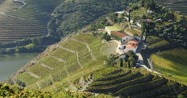 Douro winnice Quinta do Castro, inmobiliaria.pt