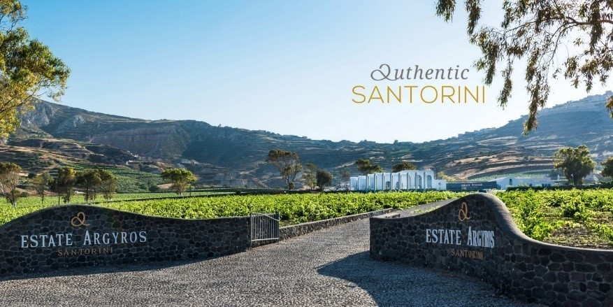 Santorini winiarnia Argyros