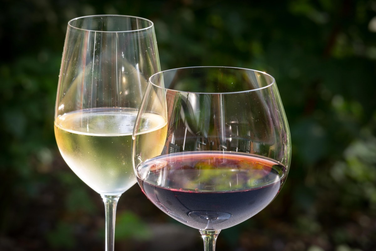 Read more about the article Dlaczego białe wino jest łatwiejsze w konsumpcji od czerwonego?