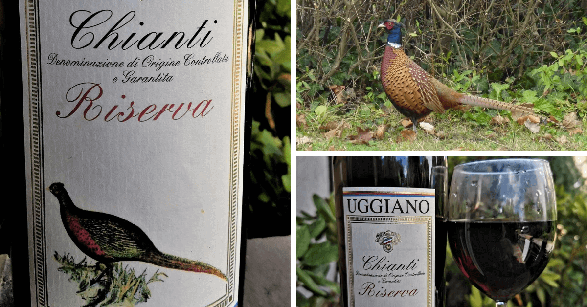 Read more about the article Wino i ptaki – Chianti z bażantem