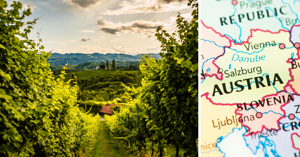 Schloss Gobelsburg – wino z Austrii z kilkusetletnią tradycją