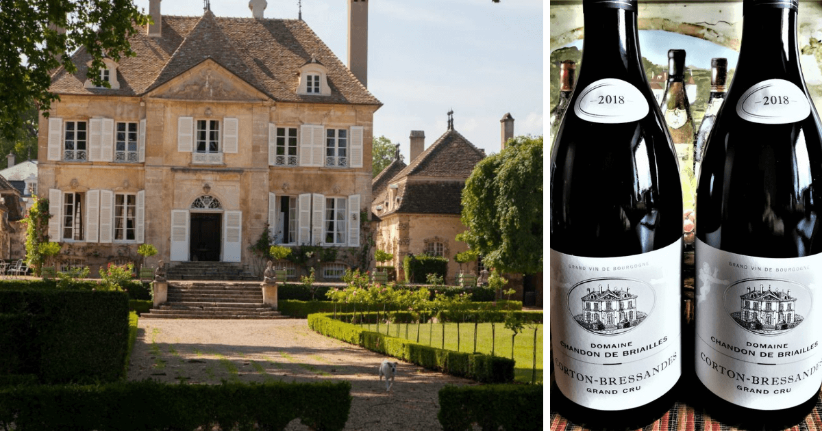Read more about the article Wielkie Wina z Burgundii – Corton Grand Cru z Domaine Chandon de Briailles