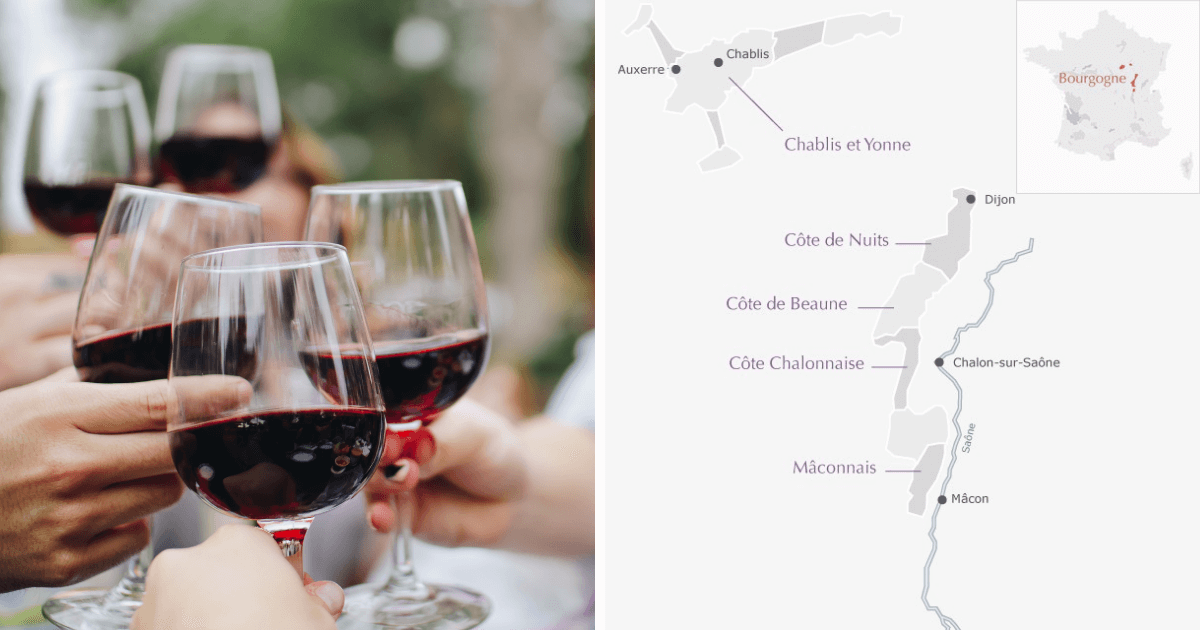 Read more about the article Chardonnay i Pinot Noir z południowej Burgundii – odkryj regiony Mâconnais, Côte Chalonnaise