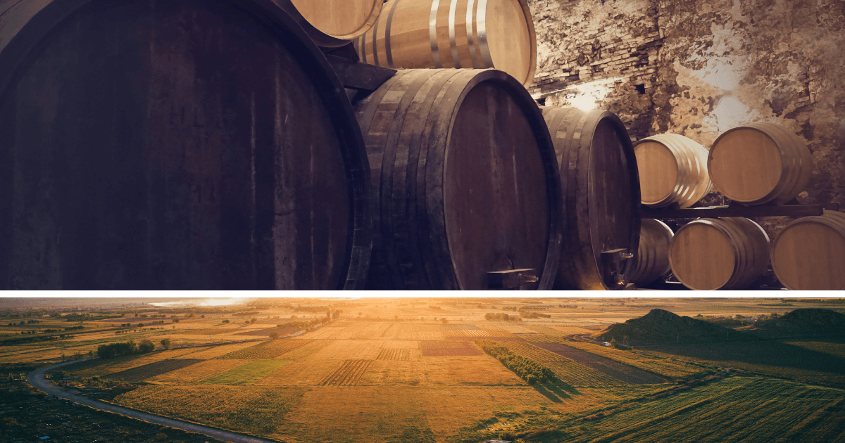 Read more about the article Wyjątkowe metody wytwarzania wina – Solera