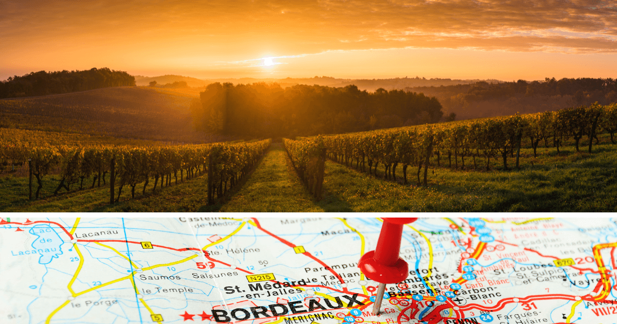 <strong>Côtes de Bordeaux – wina z bordoskich wzgórz</strong>